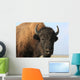 Close-up buffalo Wall Mural