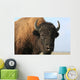 Close-up buffalo Wall Mural