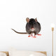 rat Wall Decal