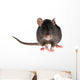 rat Wall Decal