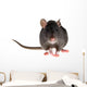 rat Wall Decal