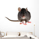 rat Wall Decal