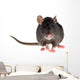 rat Wall Decal