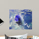 Aquarium Fish Wall Mural