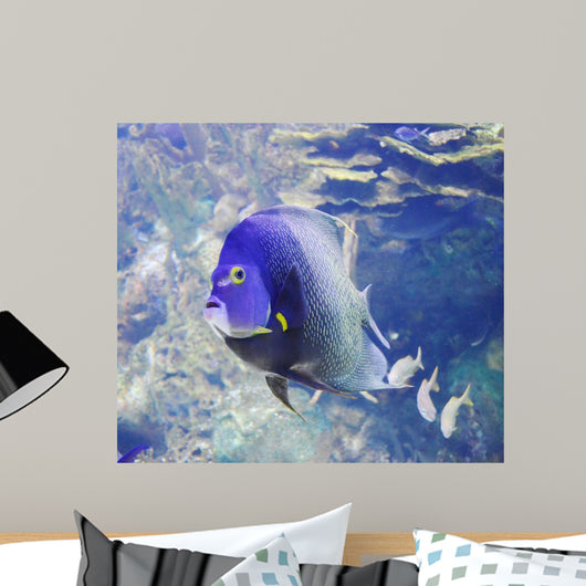 Aquarium Fish Wall Mural