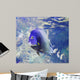 Aquarium Fish Wall Mural