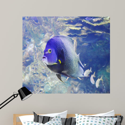 Aquarium Fish Wall Mural