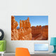 Im Bryce Canyon Wall Decal