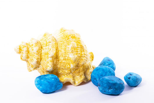 Sea Shell with Blue Stones Wall Mural