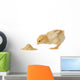 Baby chicken having a meal Wall Decal
