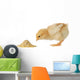 Baby chicken having a meal Wall Decal