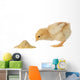 Baby chicken having a meal Wall Decal