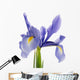 Purple lily flower Wall Decal