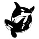 Vector Image Whale White