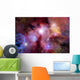 Stellar field with nebulae Wall Mural