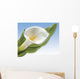 White Cala Wall Mural