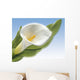 White Cala Wall Mural