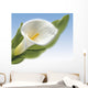 White Cala Wall Mural