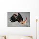 African Fish Eagle (Haliaeetus vocifer). Wall Mural