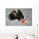 African Fish Eagle (Haliaeetus vocifer). Wall Mural