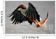 African Fish Eagle (Haliaeetus vocifer). Wall Mural