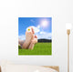 Naked Feet Grass with