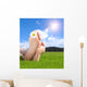 Naked Feet Grass with