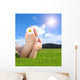Naked Feet Grass with
