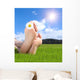 Naked Feet Grass with