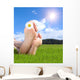 Naked Feet Grass with
