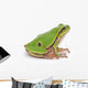 Tree Frog