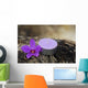 Spa and Healthcare Concept-orchid