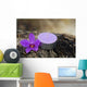 Spa and Healthcare Concept-orchid