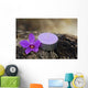 Spa and Healthcare Concept-orchid