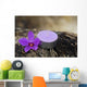 Spa and Healthcare Concept-orchid