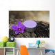 Spa and Healthcare Concept-orchid