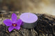 Spa and Healthcare Concept-orchid