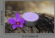 Spa and Healthcare Concept-orchid