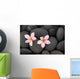 Pebbles and Two Frangipani Wall Mural