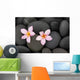 Pebbles and Two Frangipani Wall Mural