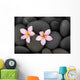 Pebbles and Two Frangipani Wall Mural