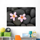 Pebbles and Two Frangipani Wall Mural