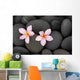 Pebbles and Two Frangipani Wall Mural