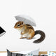 Funny chipmunk with umbrella on white Wall Decal
