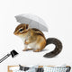 Funny chipmunk with umbrella on white Wall Decal