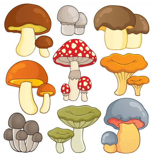 Nummy Fairy Mushrooms Wall Decal