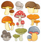 Nummy Fairy Mushrooms Wall Decal