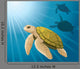 Cartoon Turtles and Sea