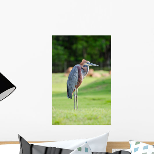 Giant Heron Standing Green Wall Mural
