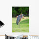 Giant Heron Standing Green Wall Mural